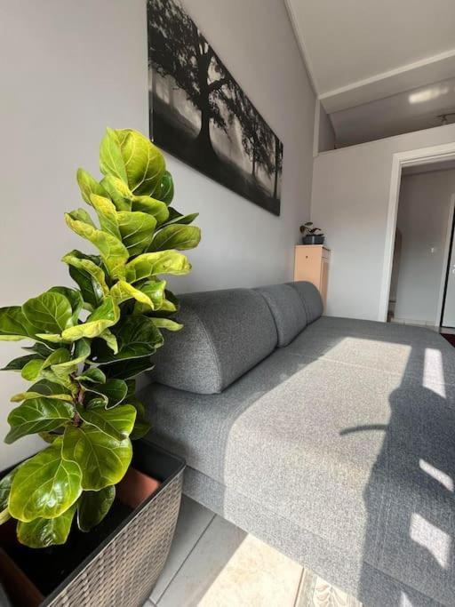 Maria'S Sunlit Apartment 比雷埃夫斯 外观 照片